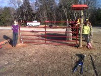 Temp pasture day 1-4.jpg