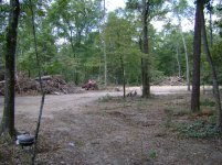 Land 8.01.11 028.jpg