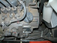 DSCN5383.JPG