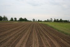 corn-planting-04.jpg