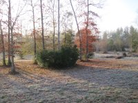 IMG_0180.JPG