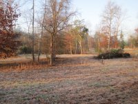 IMG_0182.JPG