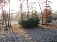 IMG_0184.JPG