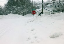 snow0286.jpg