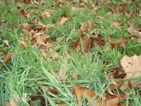PlotPics008.jpg