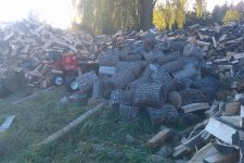 woodpile10-31-10 (Medium).jpg