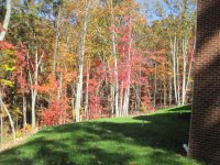 IMG_2130.JPG