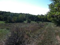 IMG_0443.jpg