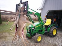 deer.jpg