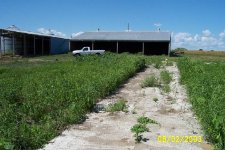 362624-Barn_Back.JPG
