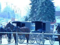 410682-buggies at lehmans.jpg