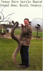 363424-rattlesnake1.jpg