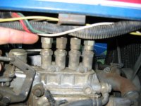 455622-IMG_0034_1_1.JPG
