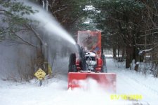 363685-Blowing Through The Pines.jpg