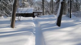 DSC03966.jpg
