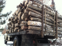 image-790957049.png