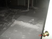 Flurries 3:10:12-1.JPG