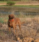 IMG_0079.jpeg