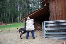 CerrieFarmPics2011 195.jpg