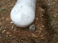 Hornet Nest & Tank.jpg