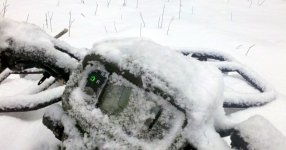 Sticky snow.jpg