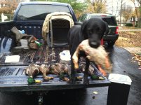 Good Hunting Buddy.JPG