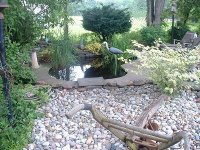 Pond-4a.JPG