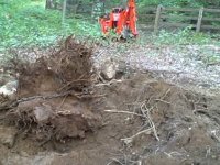 Kubota BX23 & Oak Stump.jpg