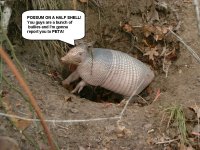 Possumonahalfshell.jpg