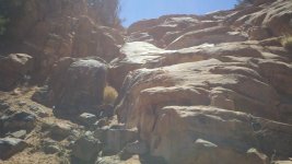 2012-03-23_11-31-37_713.jpg