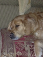 image-1249326376.png