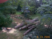Picture 002.jpg