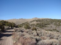 DSC07804.JPG