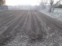 Garden 3-12-12 002 (1280x960).jpg