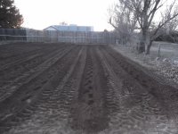 Garden 3-12-12 008 (1280x960).jpg