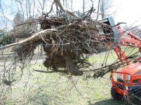 IMG_2837 grappling stump.jpg