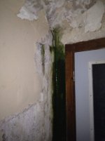 Picturesy123 010.jpg