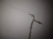 Picturesy123 012.jpg