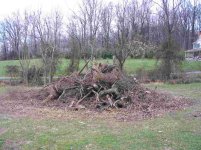543980-Burn Pile.jpg