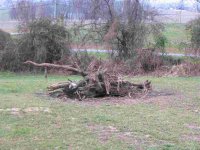 543982-Small Burn Pile.jpg