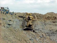 364290-dozer1Ejpg.jpg