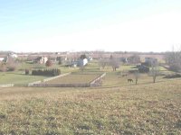 411742-Top of the Hill.jpg