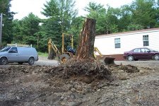 584461-bob stuck 014 (450 x 300).jpg