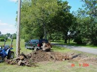 457905-stump2.jpg