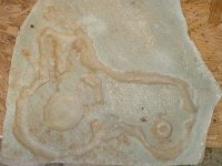 545596-Stone 004.jpg