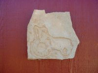 545602-Stone 014.jpg