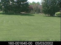 545605-A3130853.jpg