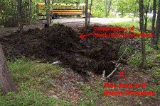 458137-Swamp (450 x 300).jpg
