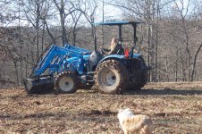 Taking big trees out of meadow 010.jpg