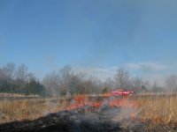 burntruck1.jpg